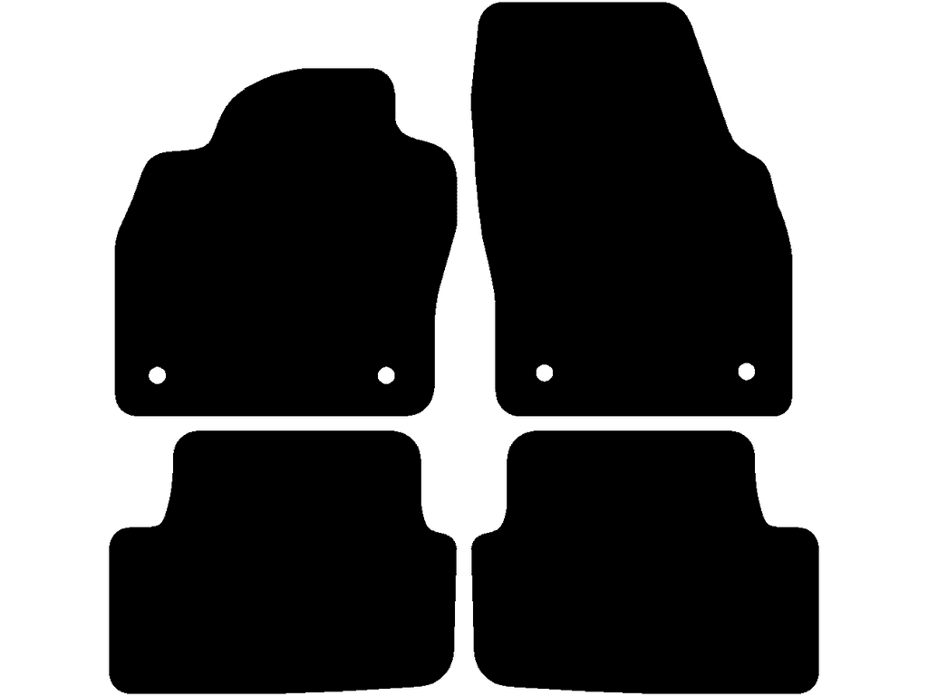 Co driver with fixing system