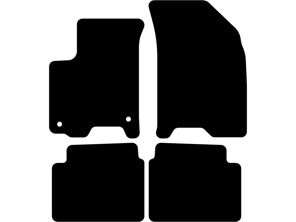 Car mats for Chevrolet Aveo 2006 - 2011