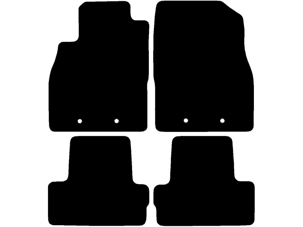 Fixing system: Fixing clip (closed)