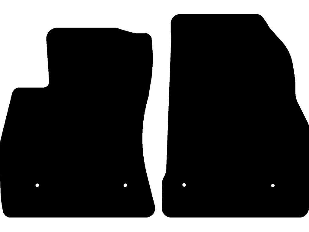 Co driver with fixing system