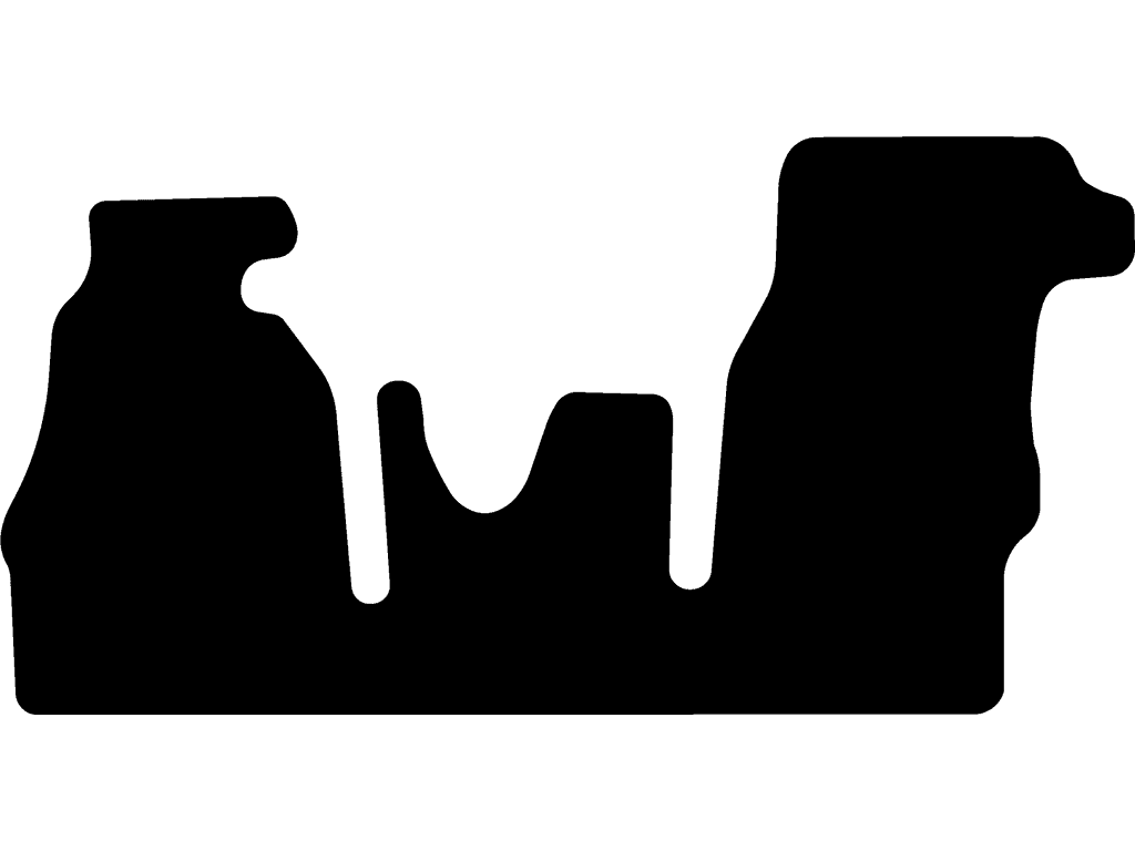 Double passenger seat