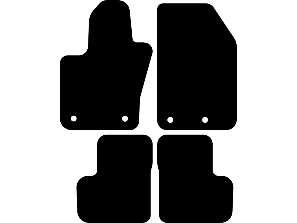 Co driver with fixing system