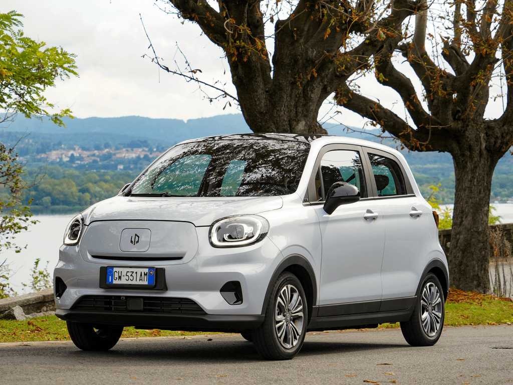 Car mats for Leapmotor T03 2024 - 2026